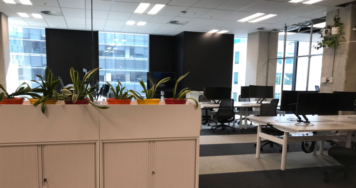 Table in corporate office with houseplants