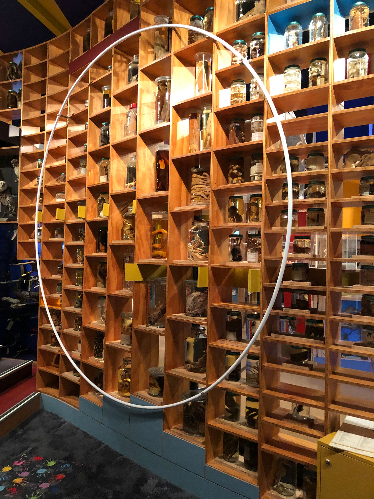 Bw Library From Museums to National Libraries | We Plan Large Moves